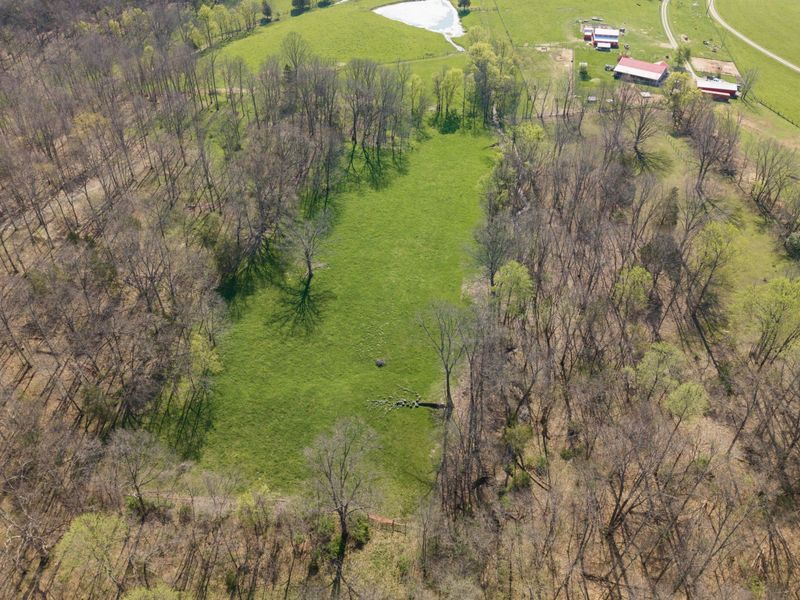 1810 Twin Creek Road, Sadieville, KY 40370 Photo 34