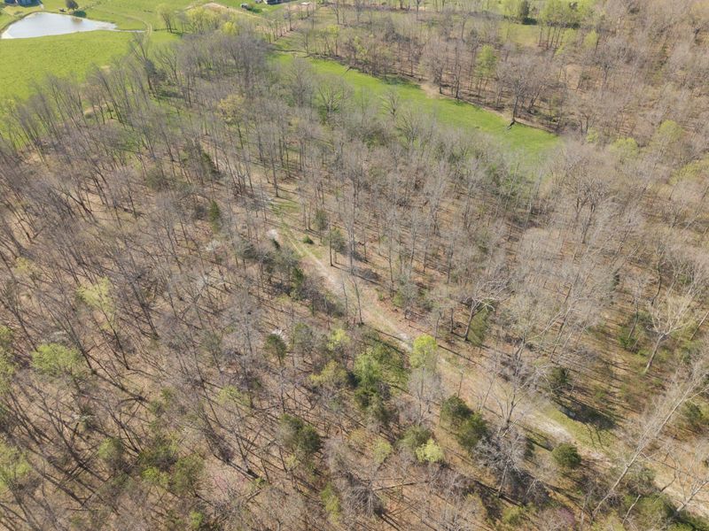 1810 Twin Creek Road, Sadieville, KY 40370 Photo 36