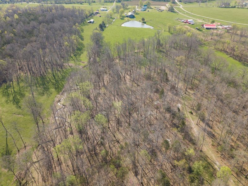 1810 Twin Creek Road, Sadieville, KY 40370 Photo 37