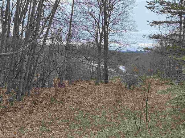 Lot A N Crossover Drive, Unit Lot A, Bellaire, MI 49615