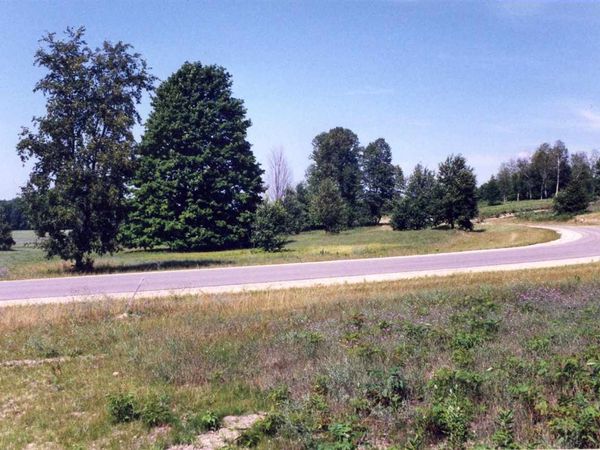 Lot 39 Alden Meadows, Unit 39, Alden, MI 49612