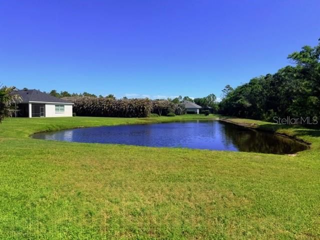 16214 Mulholland Road, Parrish, FL 34219 Photo