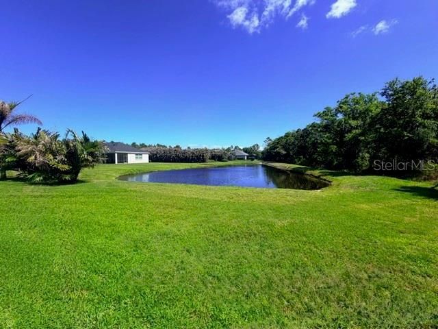 16214 Mulholland Road, Parrish, FL 34219 Photo