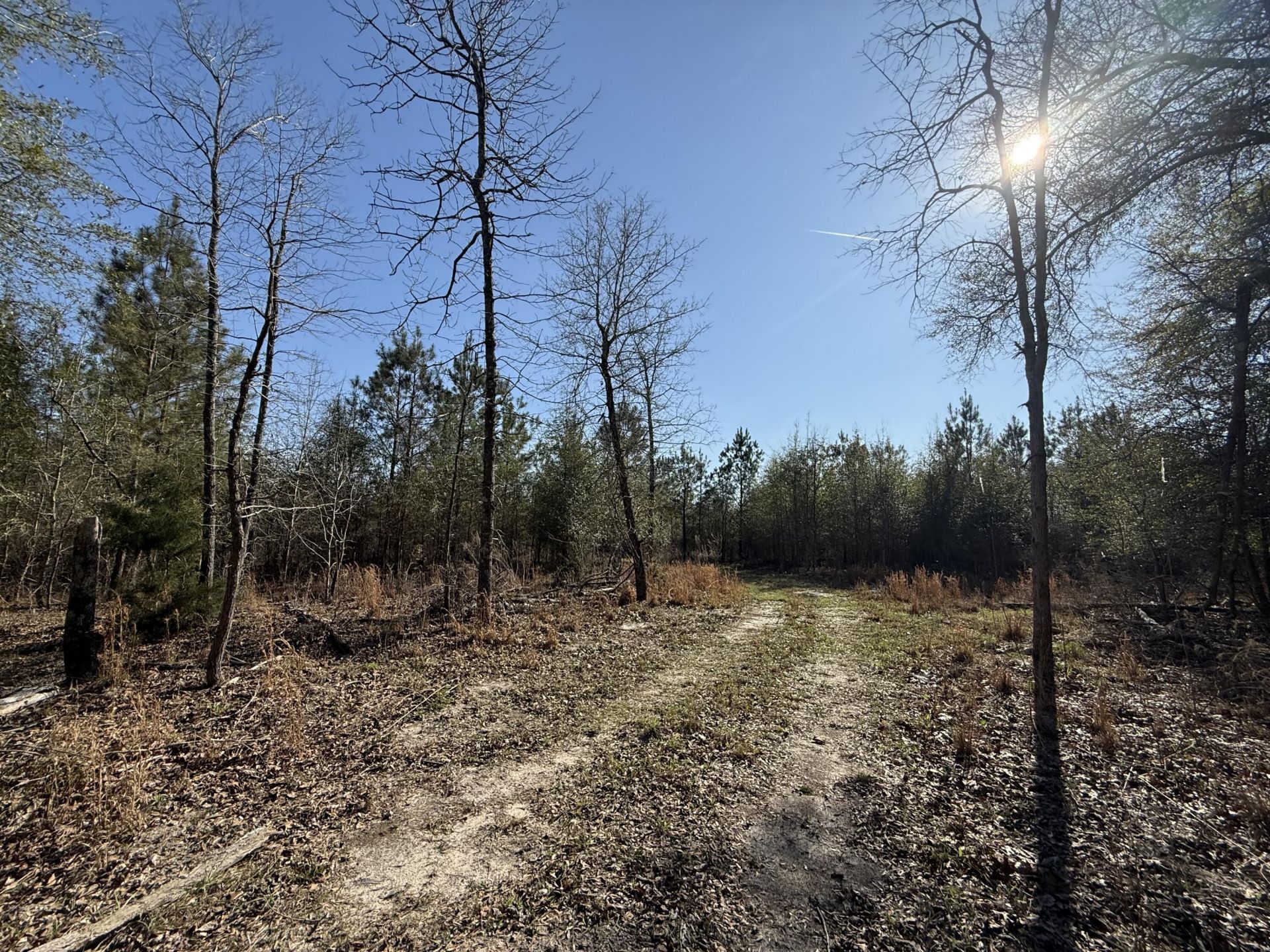 0000 S Carolina 3 Photo 10