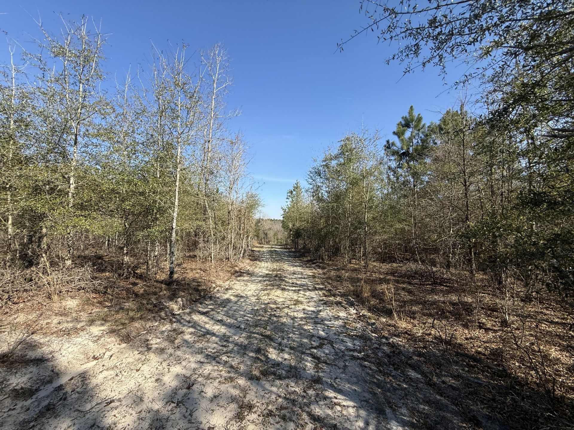 0000 S Carolina 3 Photo 12