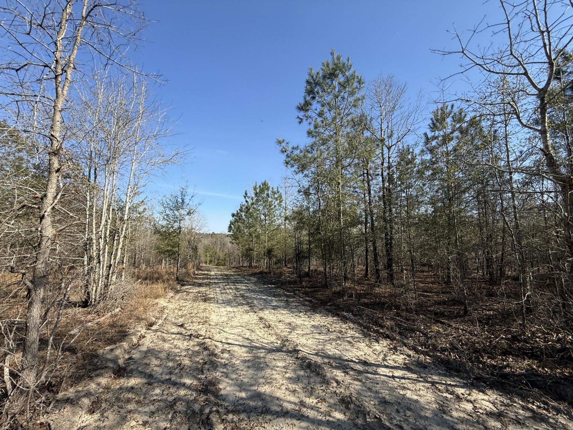 0000 S Carolina 3 Photo 13