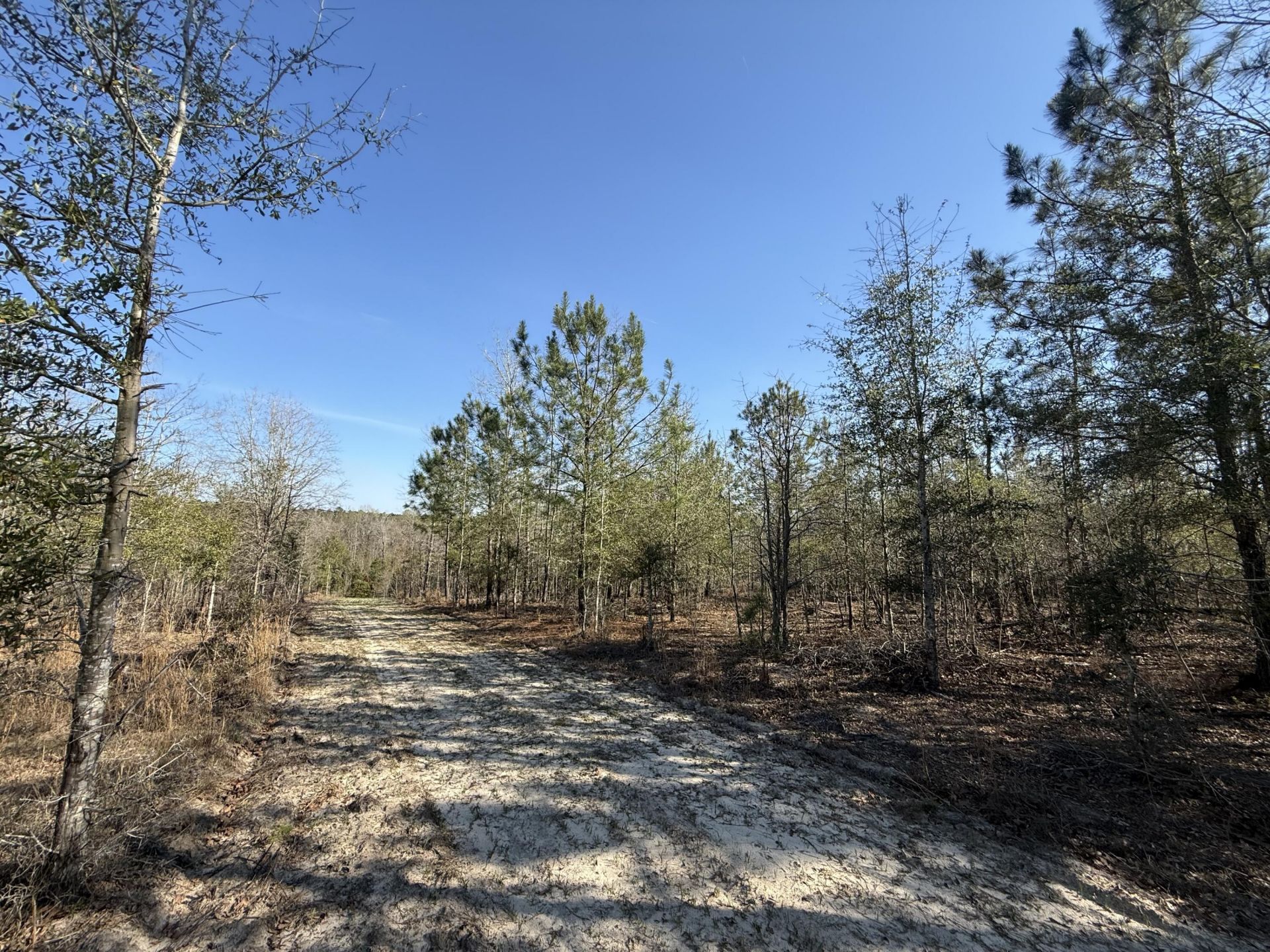 0000 S Carolina 3 Photo 14