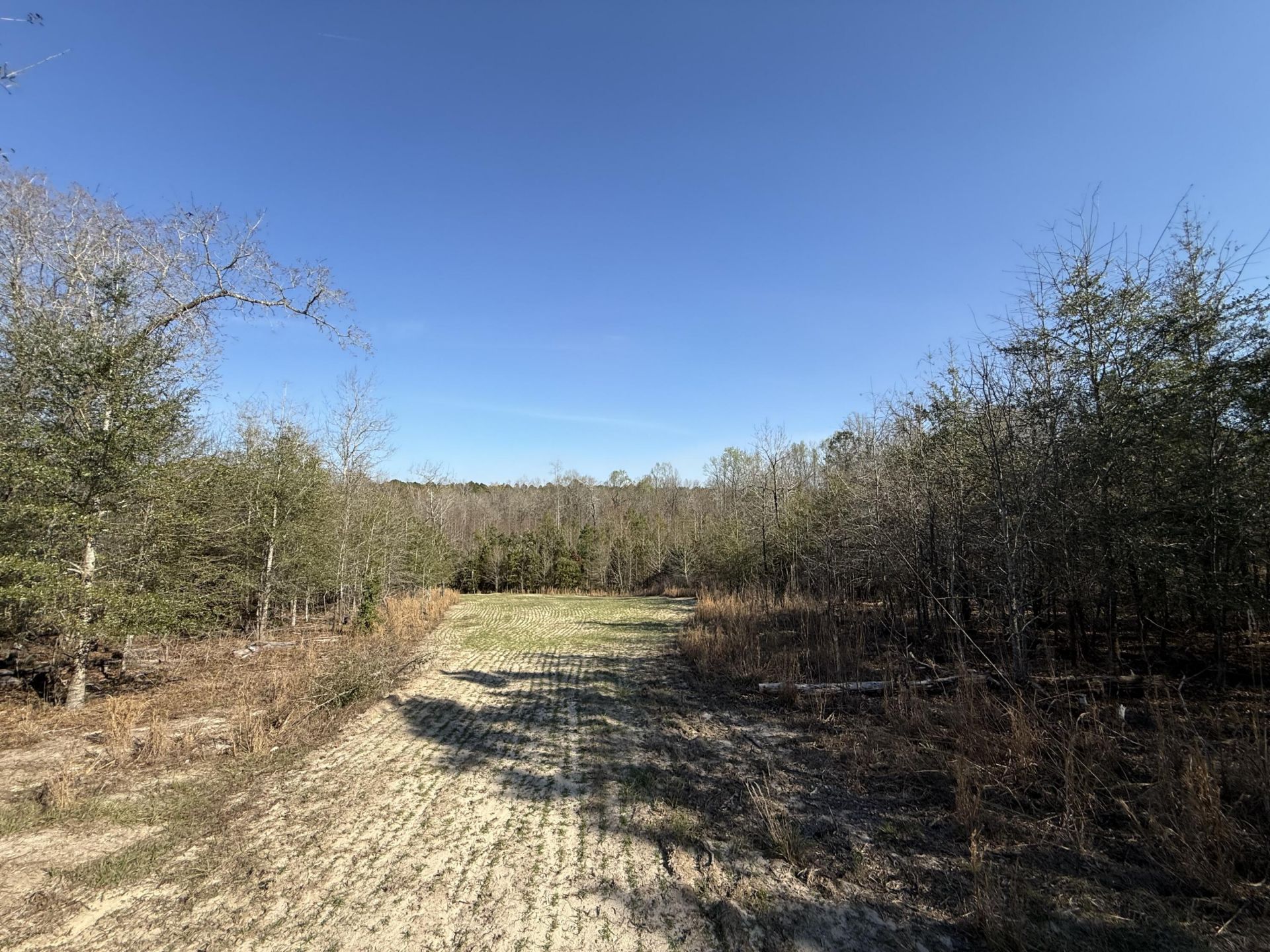 0000 S Carolina 3 Photo 17