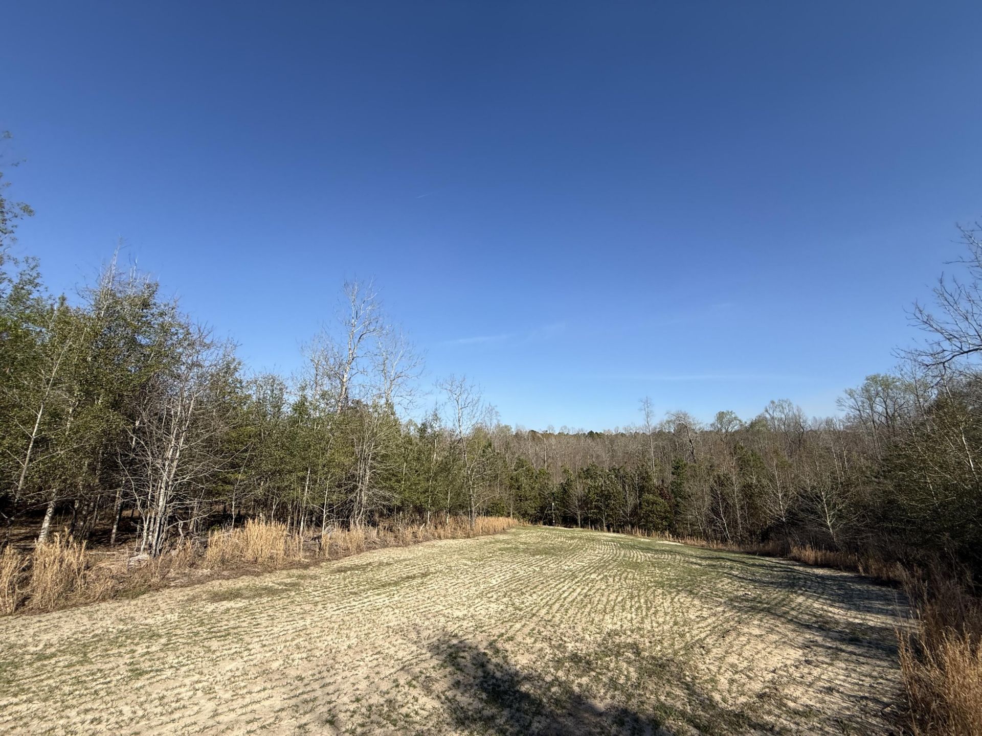 0000 S Carolina 3 Photo 18