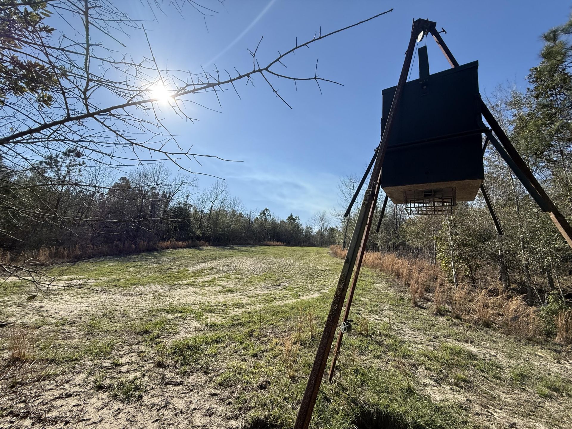 0000 S Carolina 3 Photo 19