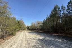 0000 S Carolina 3 photo 4