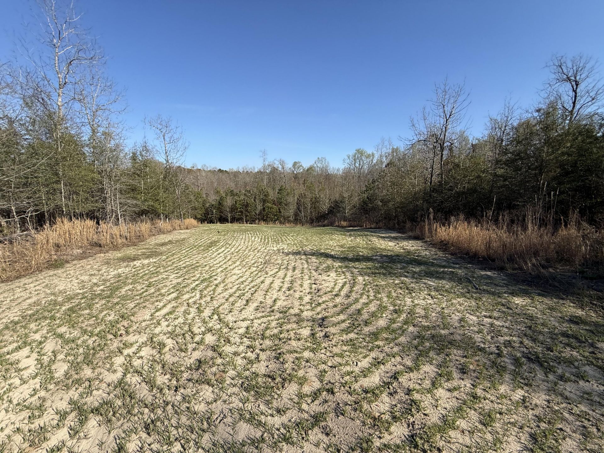 0000 S Carolina 3 Photo 22