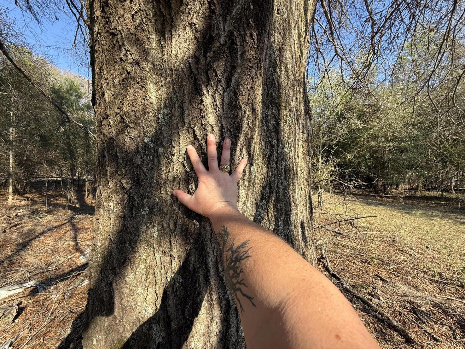 0000 S Carolina 3 Photo 23