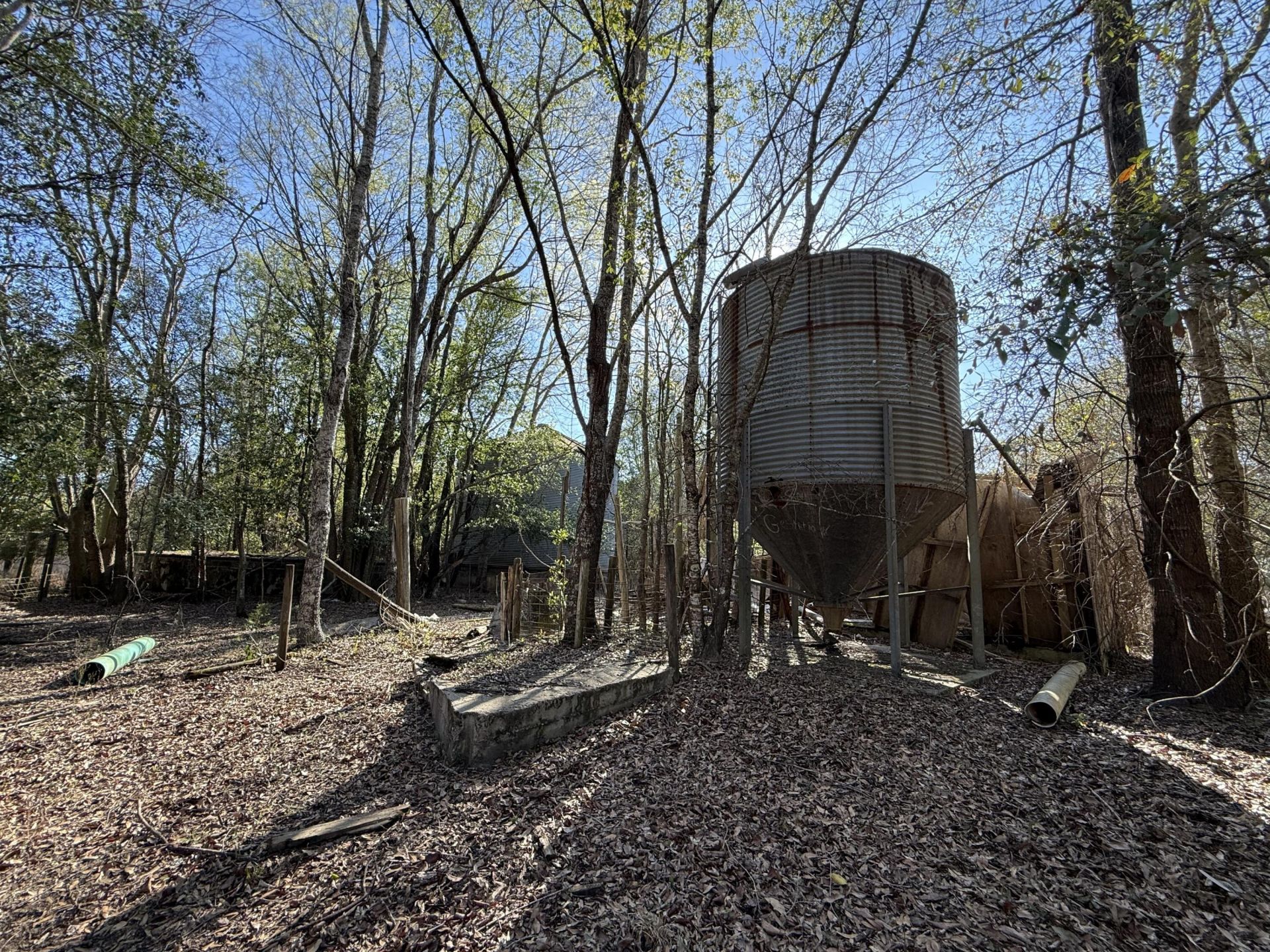 0000 S Carolina 3 Photo 25