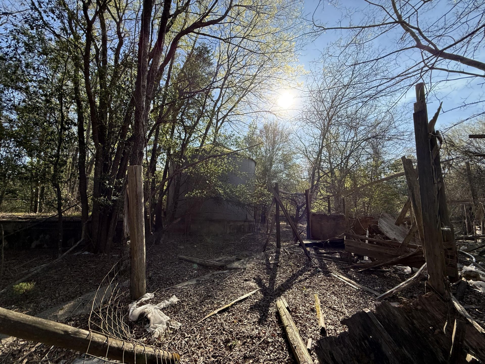 0000 S Carolina 3 Photo 26