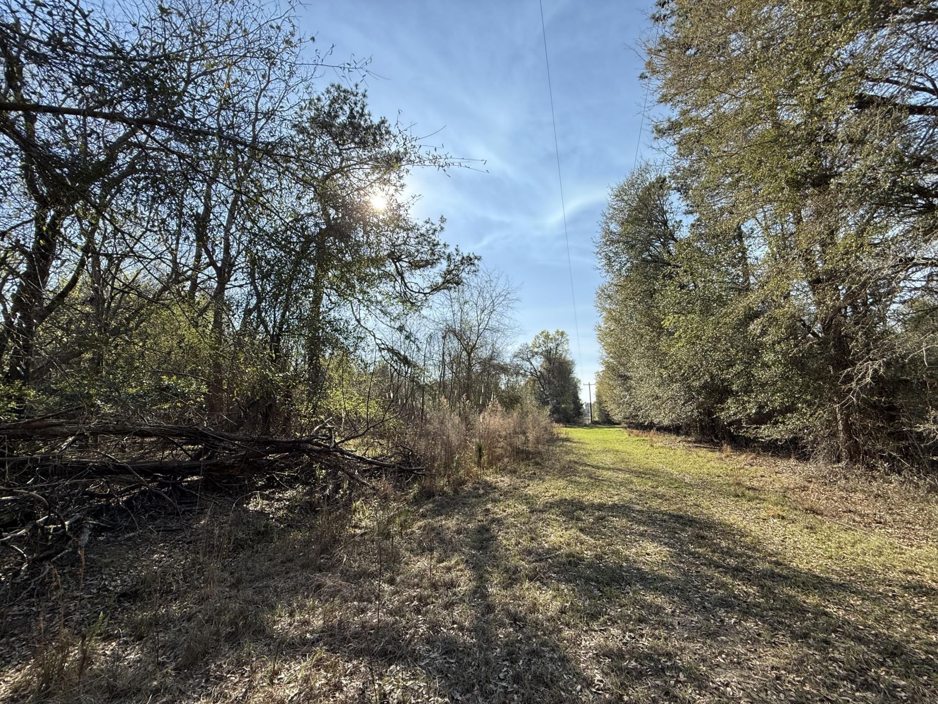 0000 S Carolina 3 Photo 29