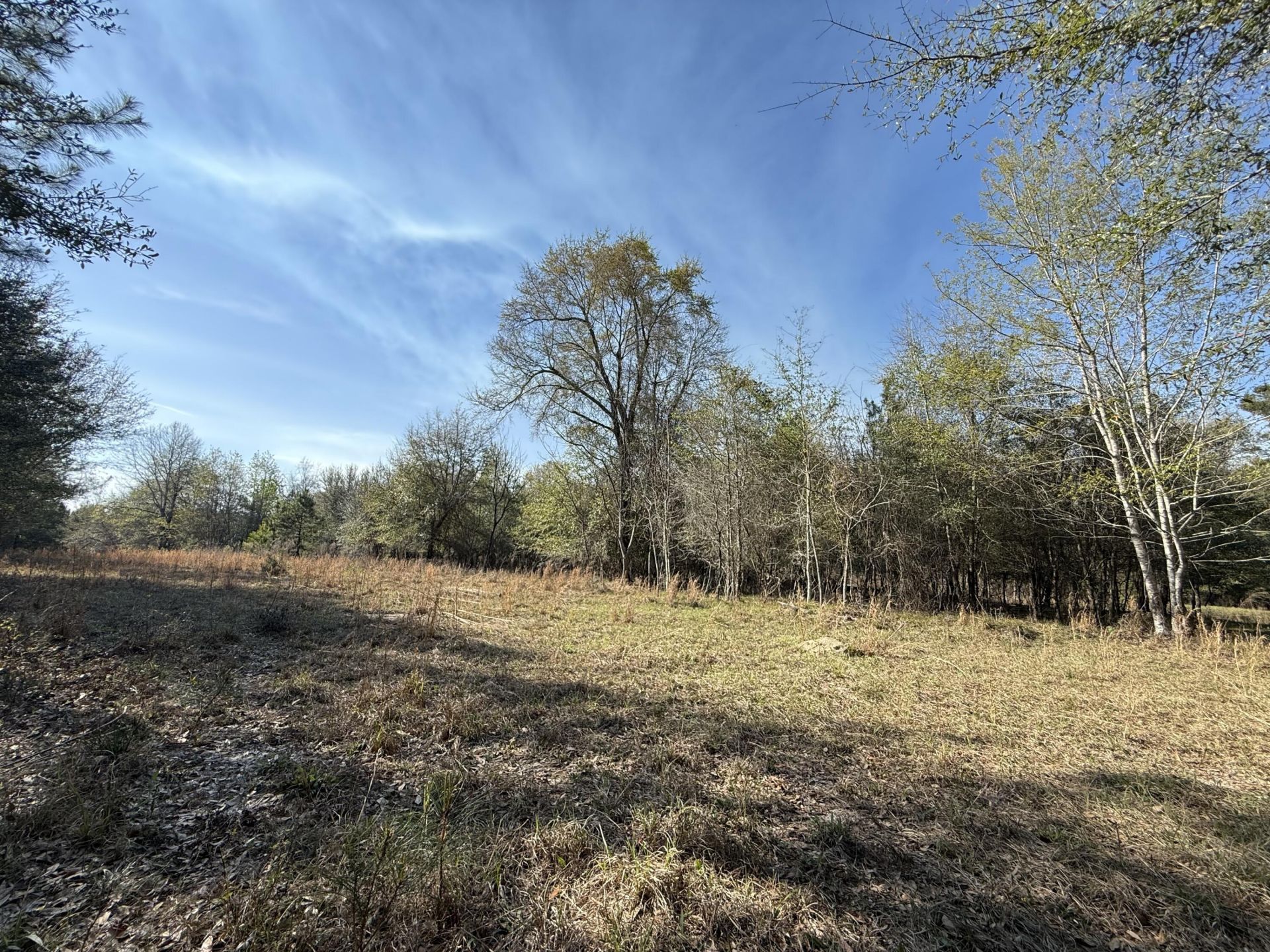 0000 S Carolina 3 Photo 31