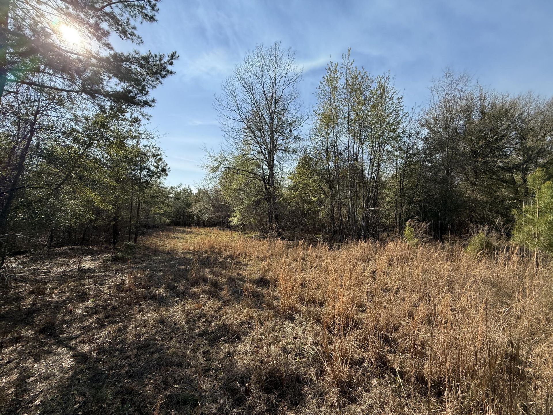 0000 S Carolina 3 Photo 32