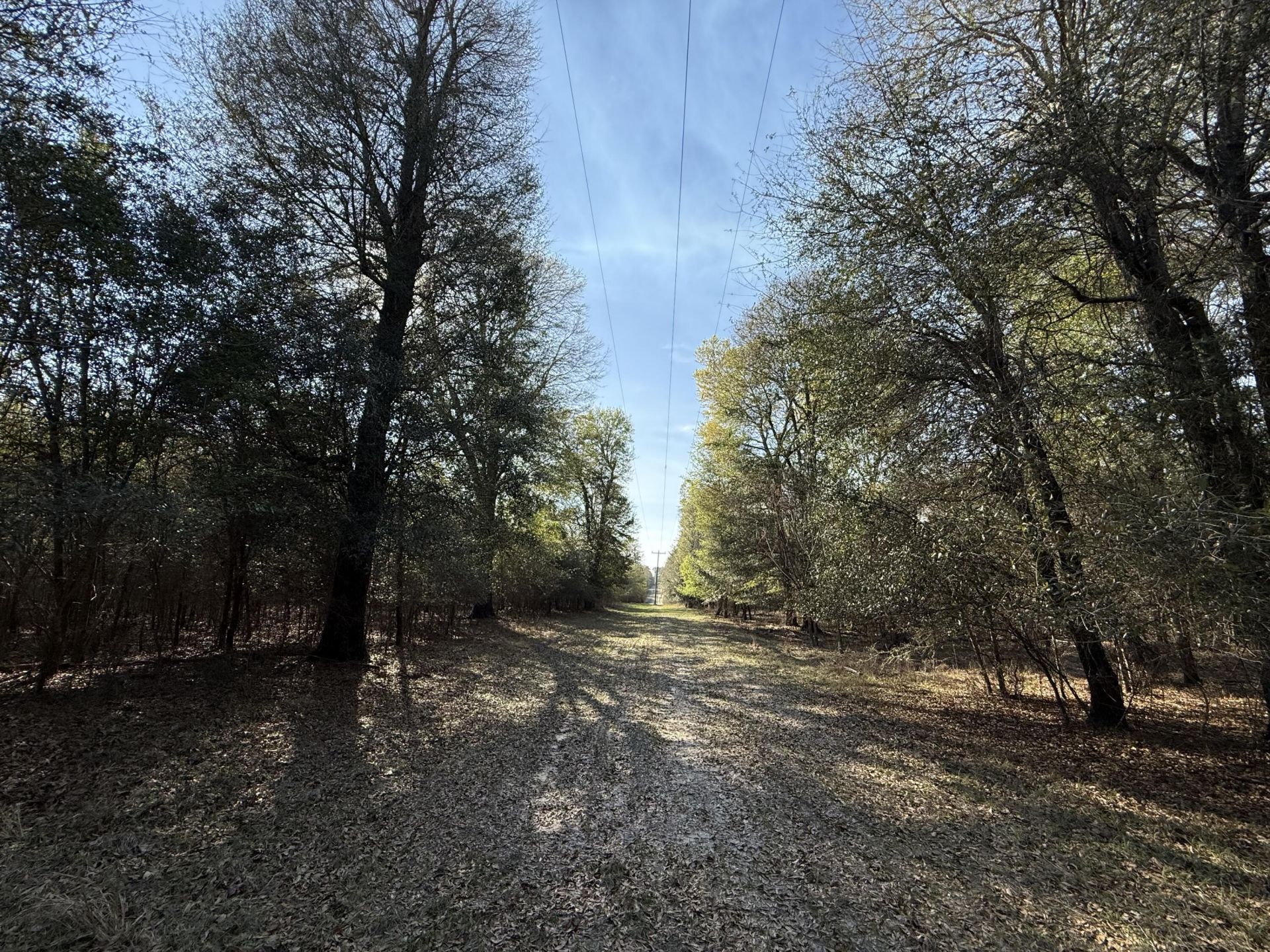 0000 S Carolina 3 Photo 34