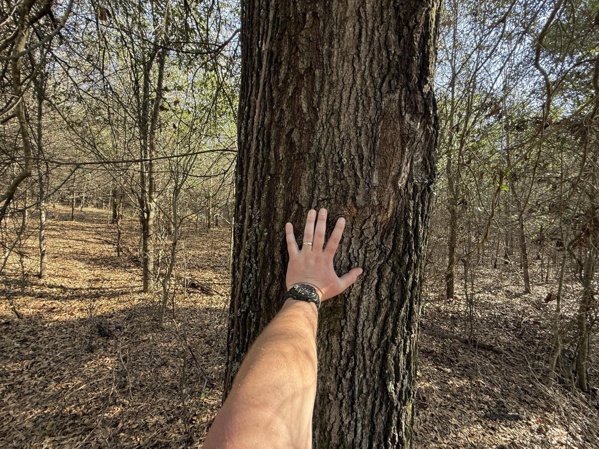 0000 S Carolina 3 Photo 35