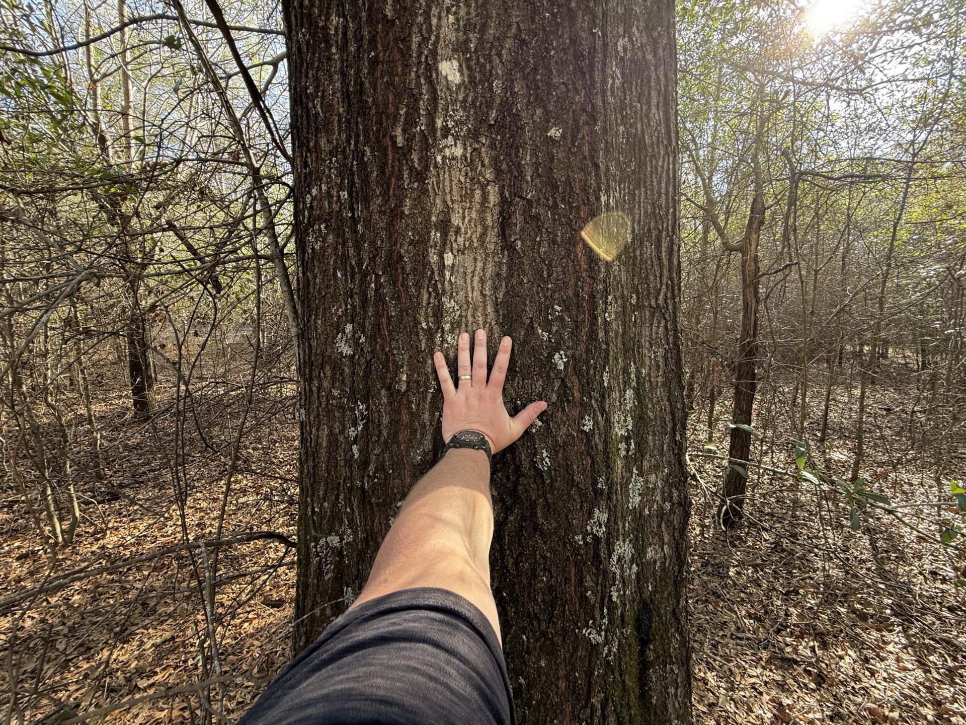 0000 S Carolina 3 Photo 36