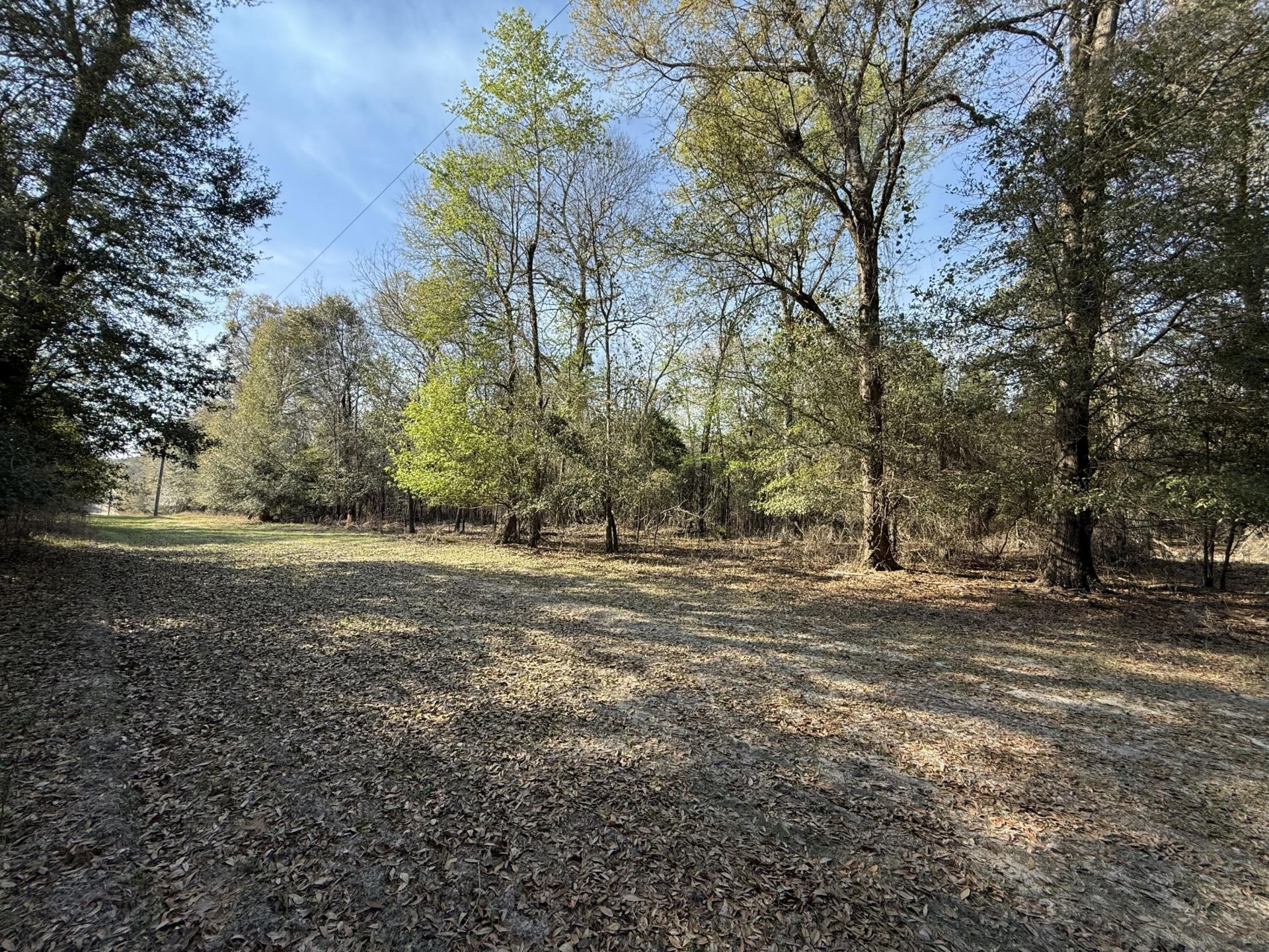 0000 S Carolina 3 Photo 37