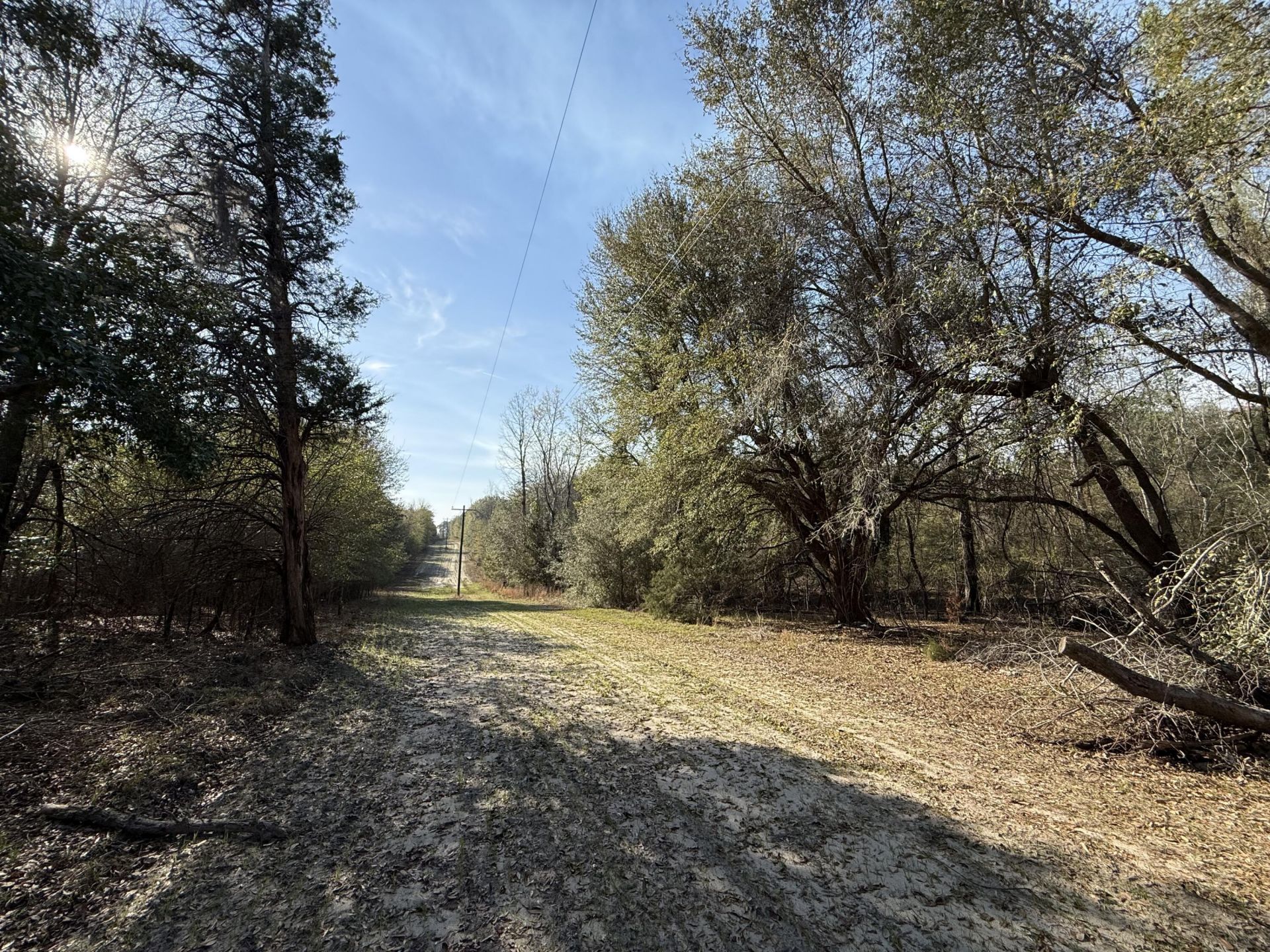 0000 S Carolina 3 Photo 38