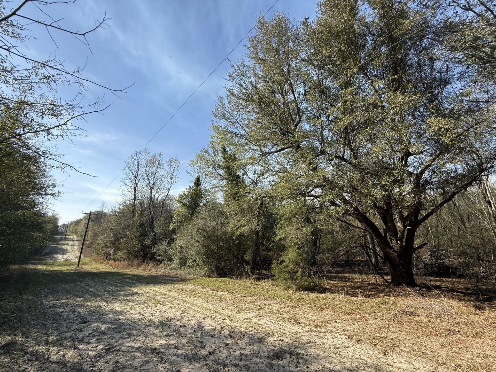 0000 S Carolina 3 Photo 39