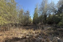 0000 S Carolina 3 photo 4