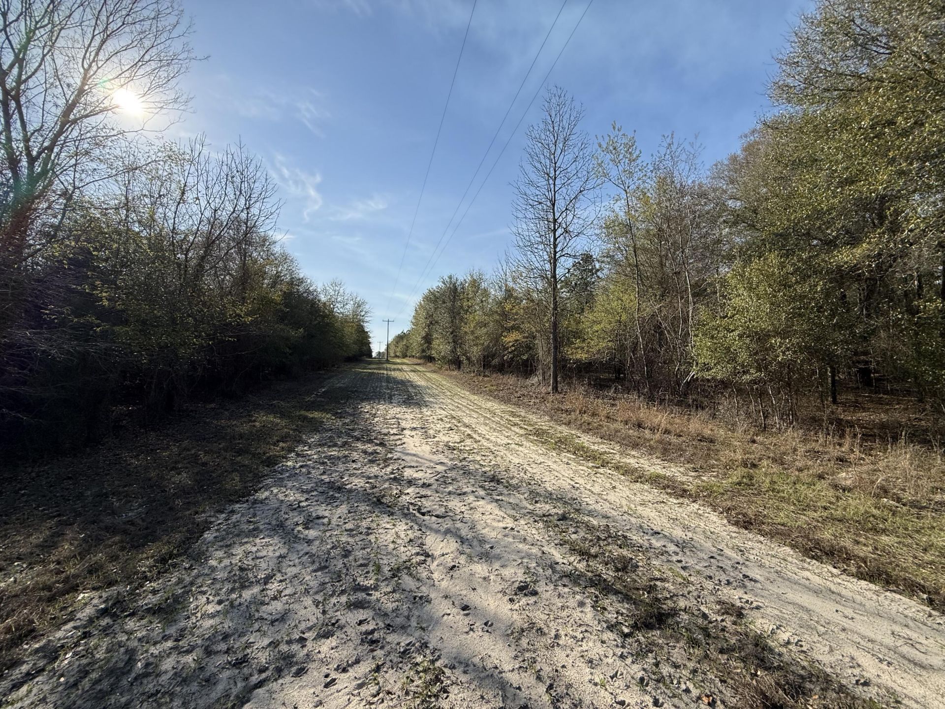 0000 S Carolina 3 Photo 40