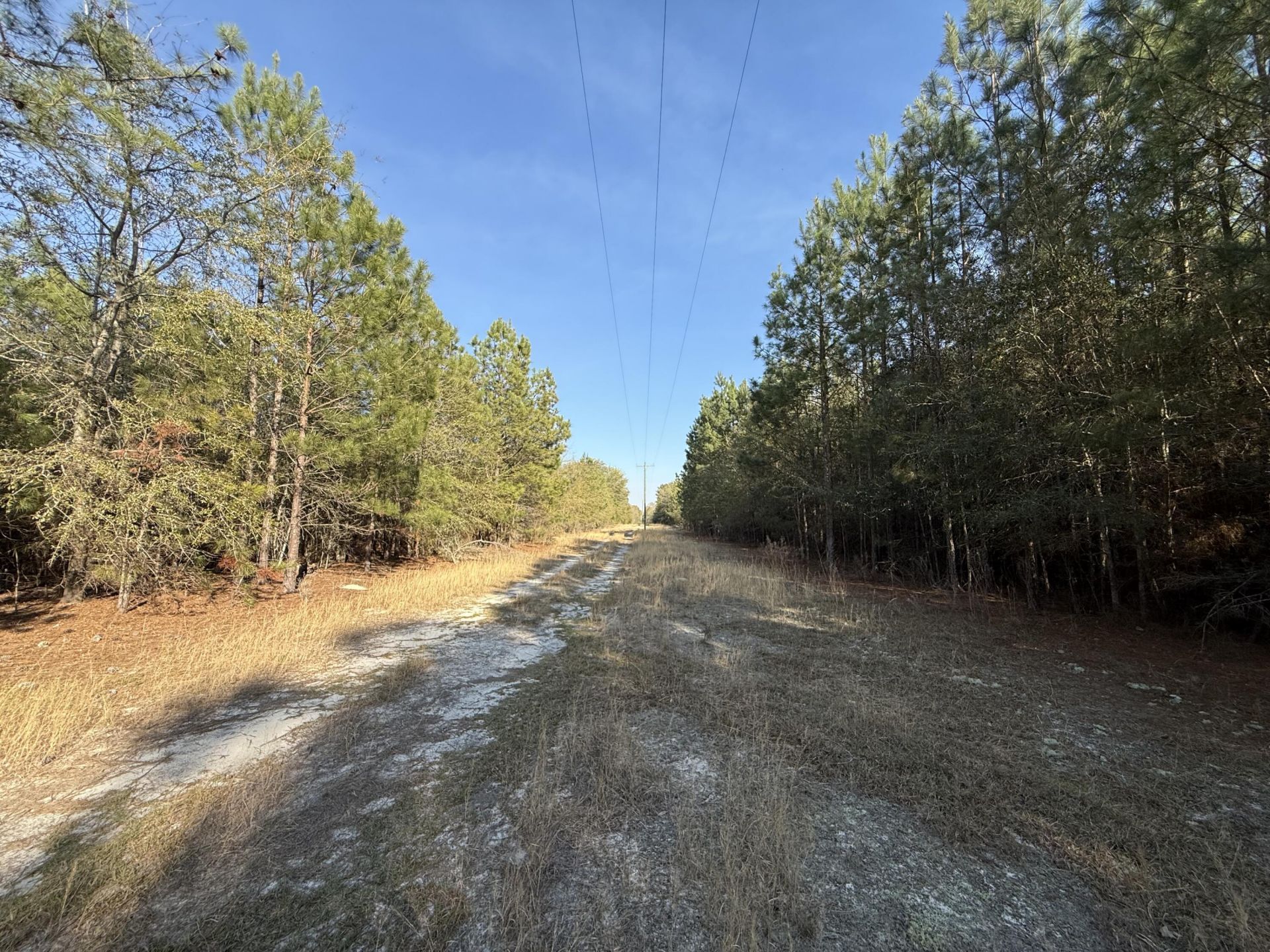 0000 S Carolina 3 Photo 43