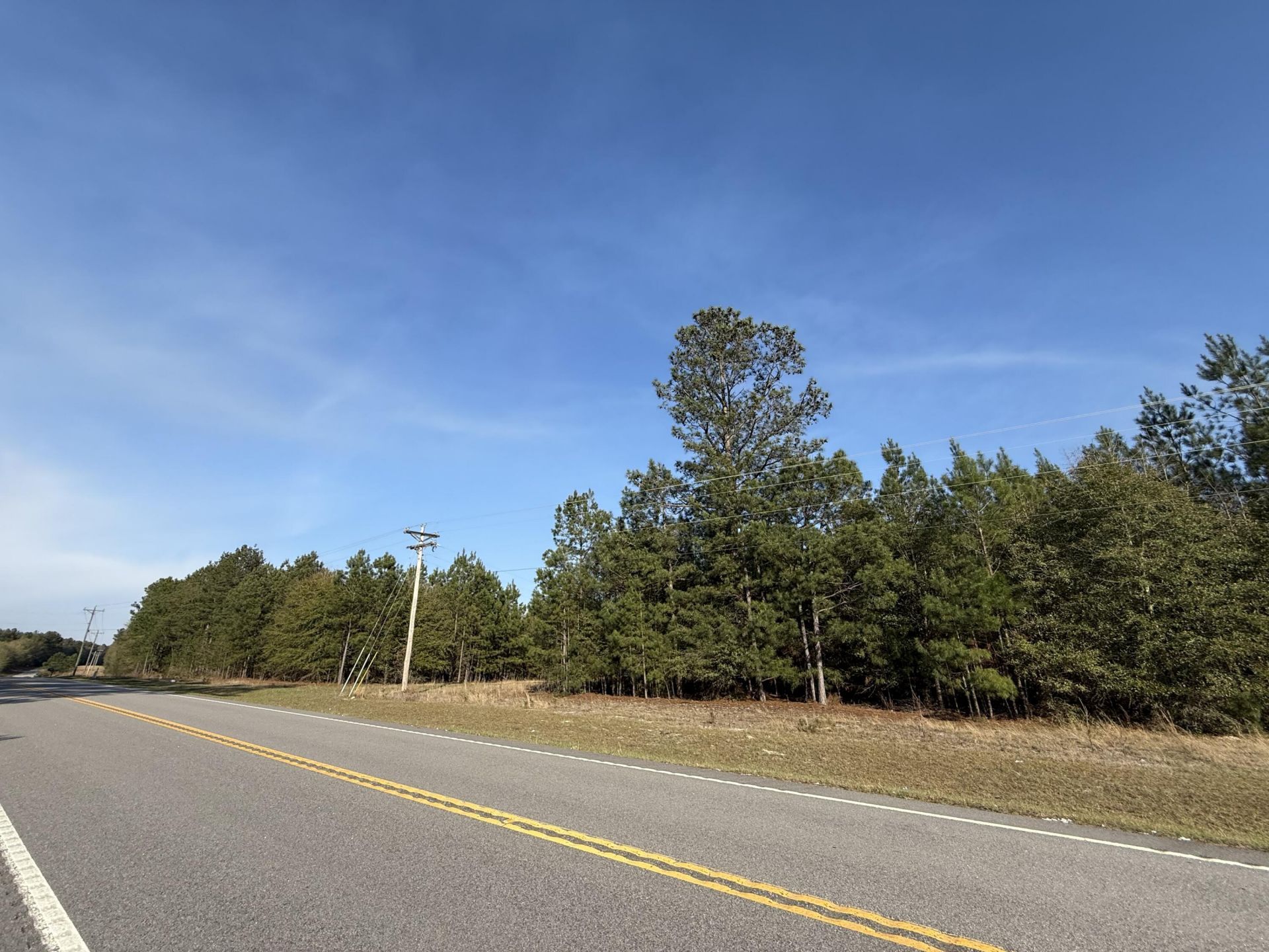 0000 S Carolina 3 Photo 45