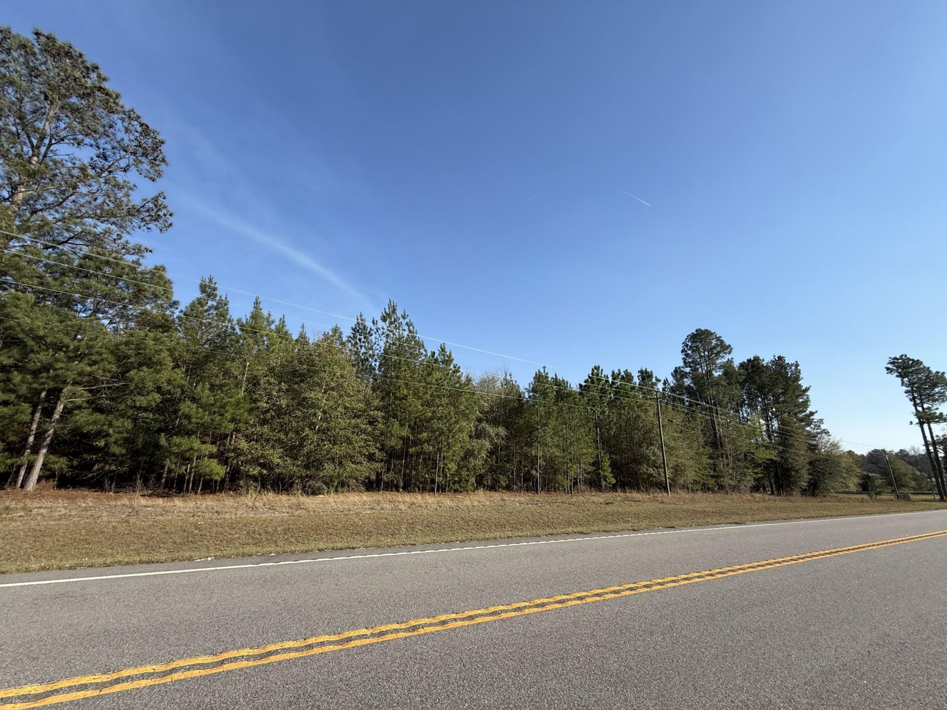 0000 S Carolina 3 Photo 46