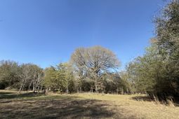 0000 S Carolina 3 photo 4