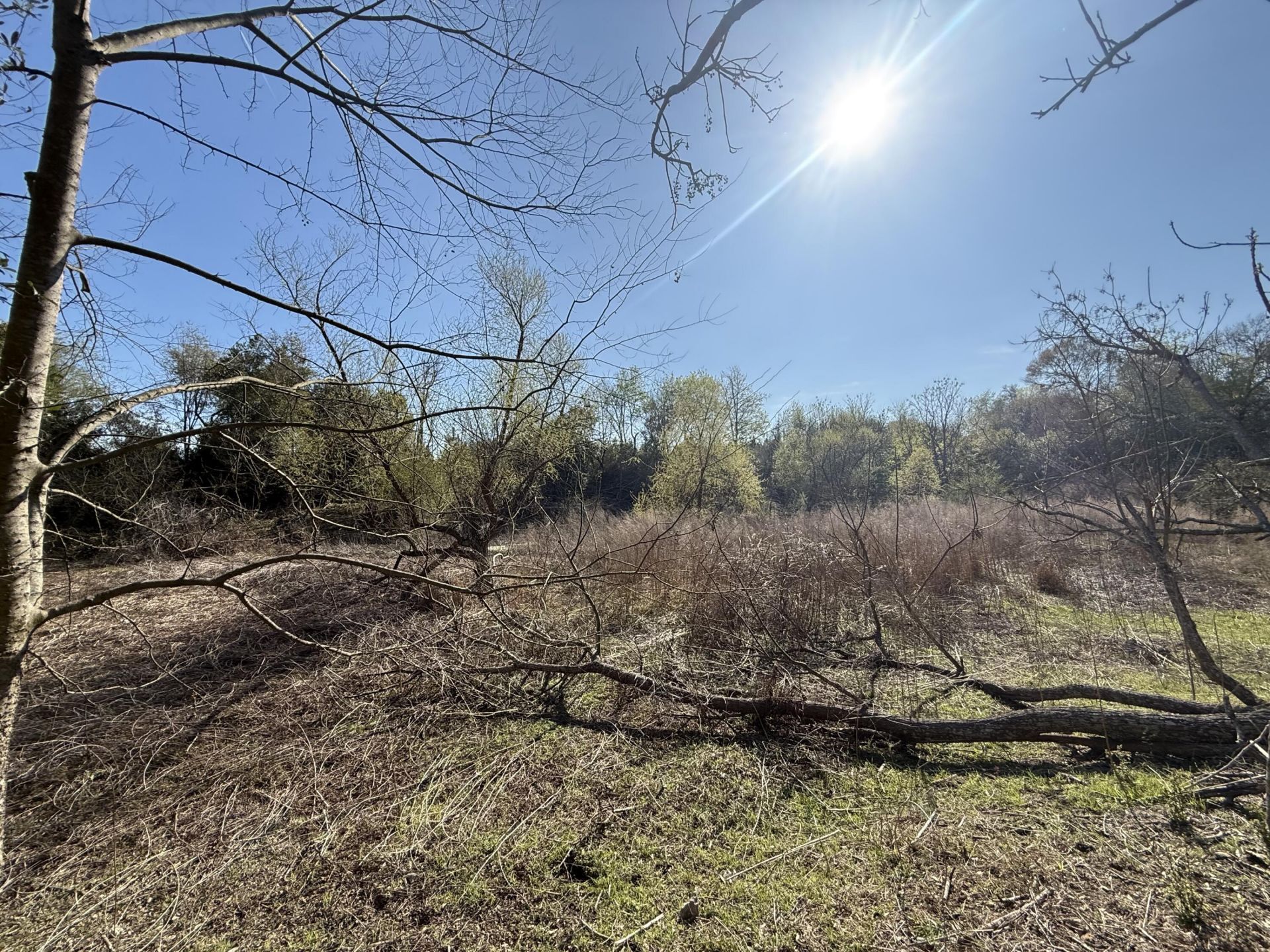 0000 S Carolina 3 Photo 7