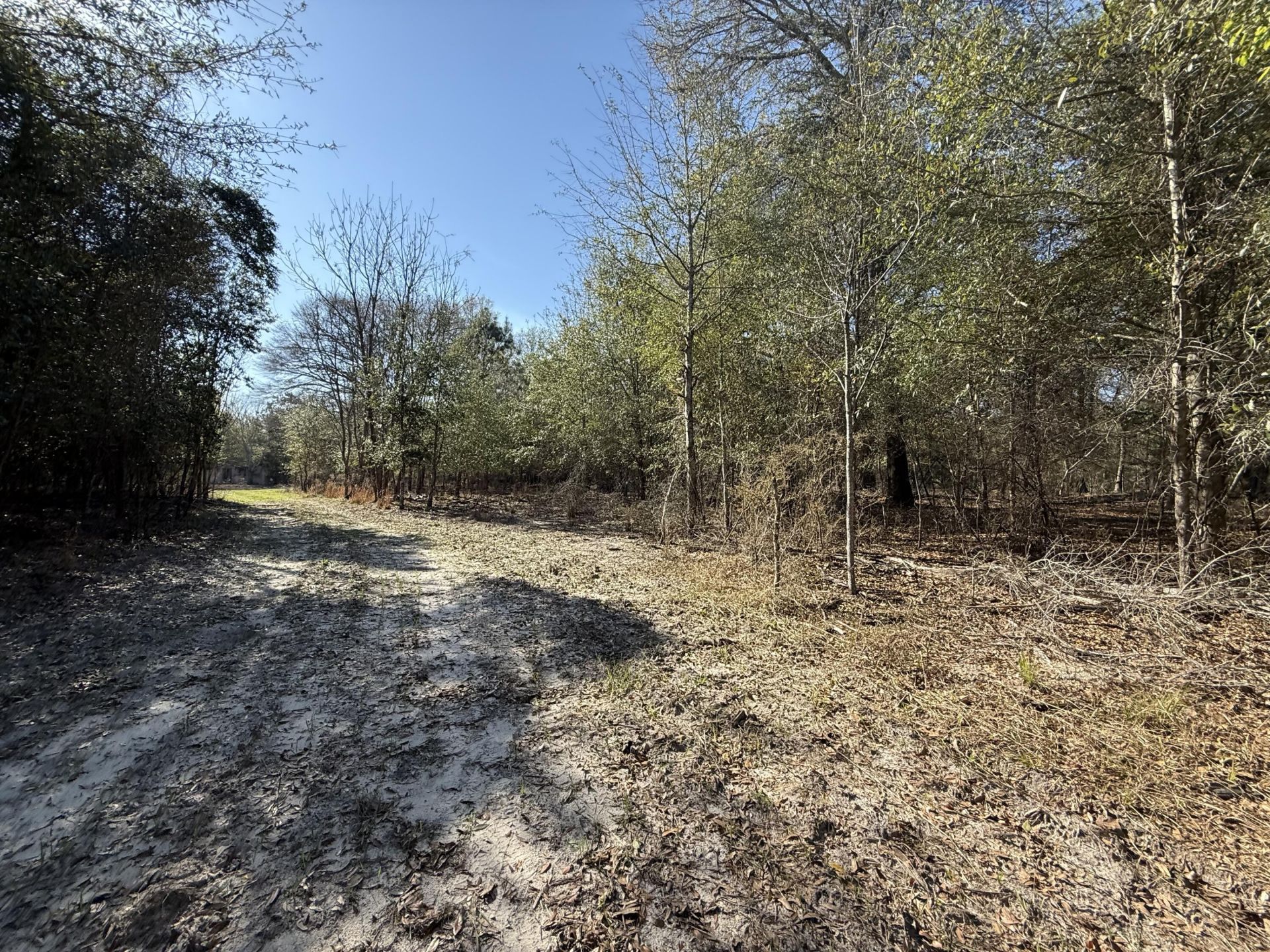 0000 S Carolina 3 Photo 8