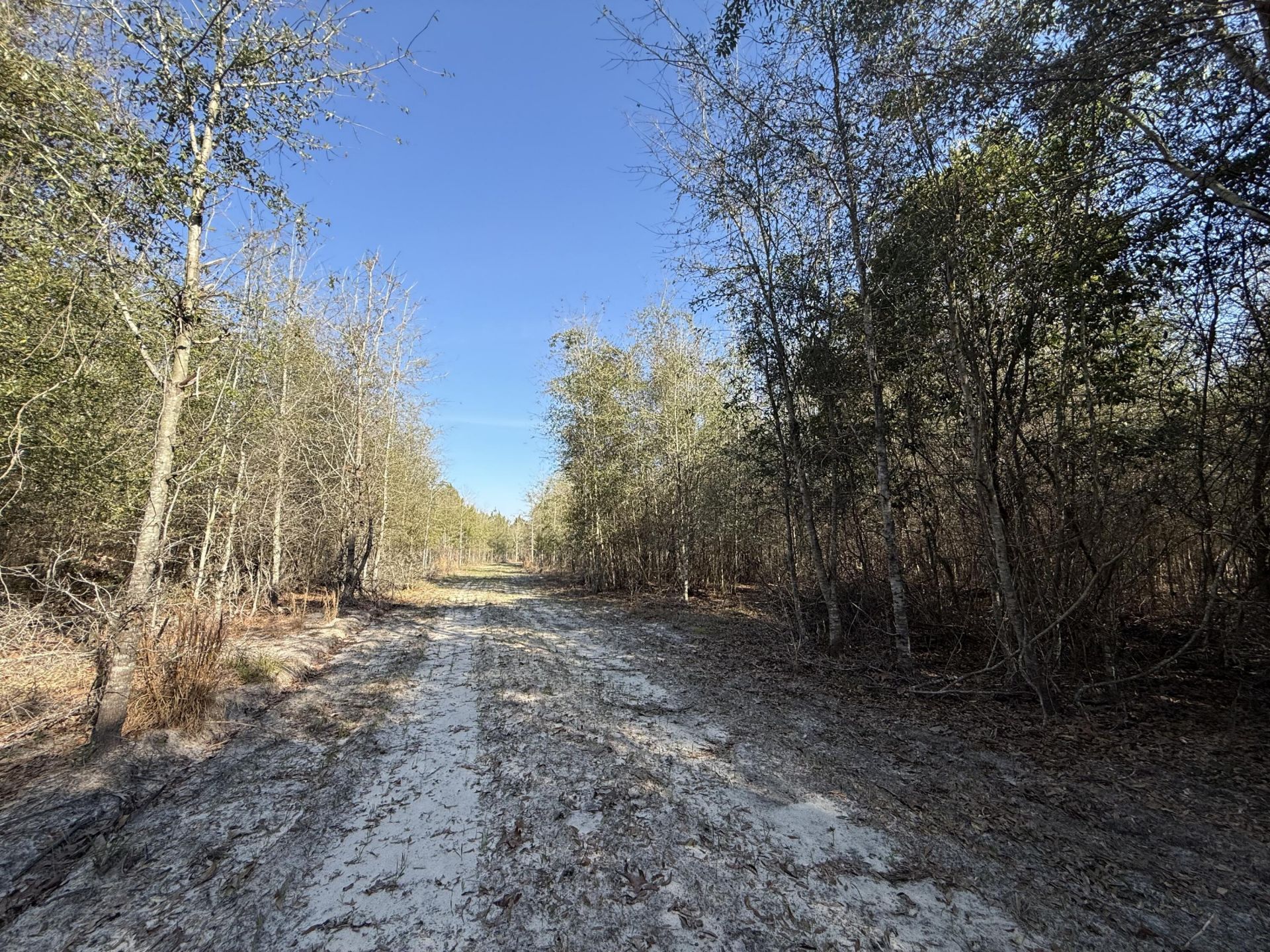 0000 S Carolina 3 Photo 9