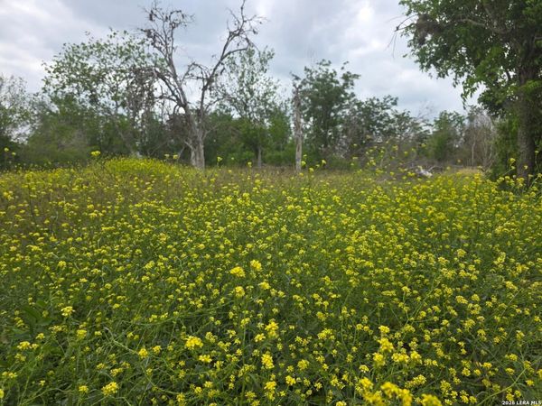 2324 E Chavaneaux, San Antonio, TX 78214