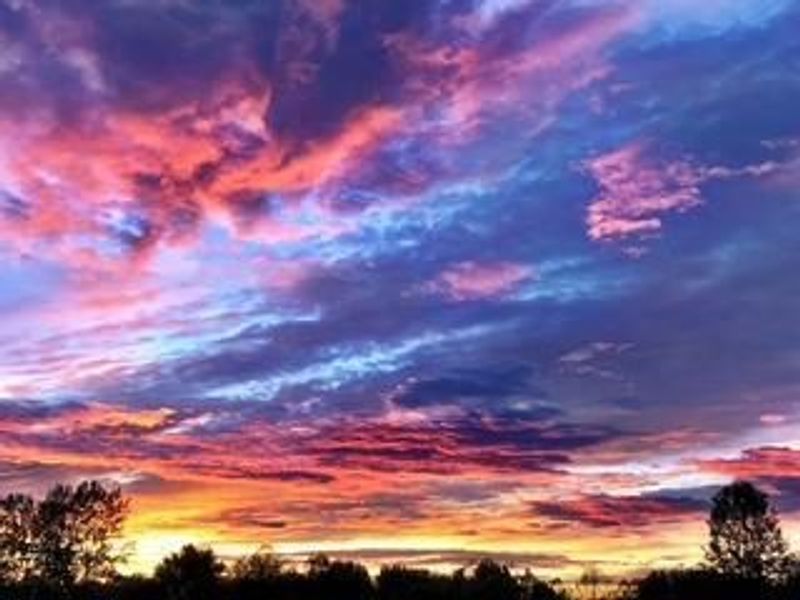 6335 Lakeview Drive W, Grove City, OH 43123 Photo 47