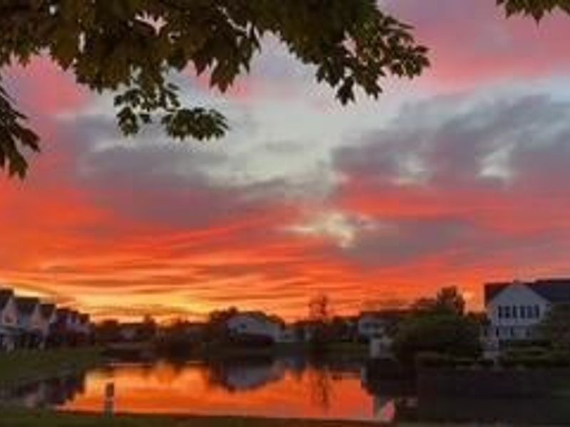 6335 Lakeview Drive W, Grove City, OH 43123 Photo 48