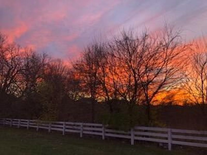 6335 Lakeview Drive W, Grove City, OH 43123 Photo 49