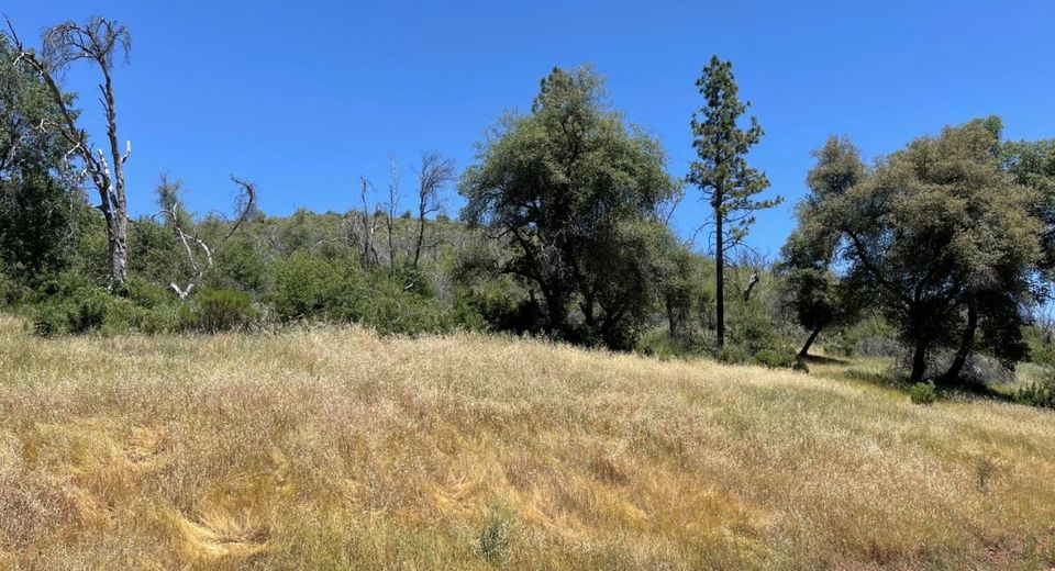 5825 Mountain Ranch Rd, Mountain Ranch, CA 95246 Photo