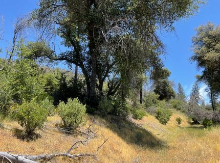 5825 Mountain Ranch Rd, Mountain Ranch, CA 95246 Photo