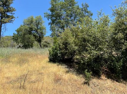 5825 Mountain Ranch Rd, Mountain Ranch, CA 95246 Photo