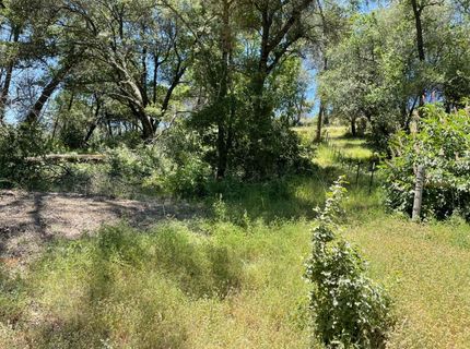 5825 Mountain Ranch Rd, Mountain Ranch, CA 95246 Photo