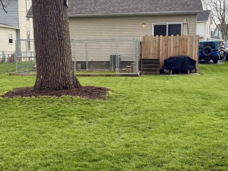 616 E Bellefontaine Street, Wapakoneta, OH 45895 Photo 29