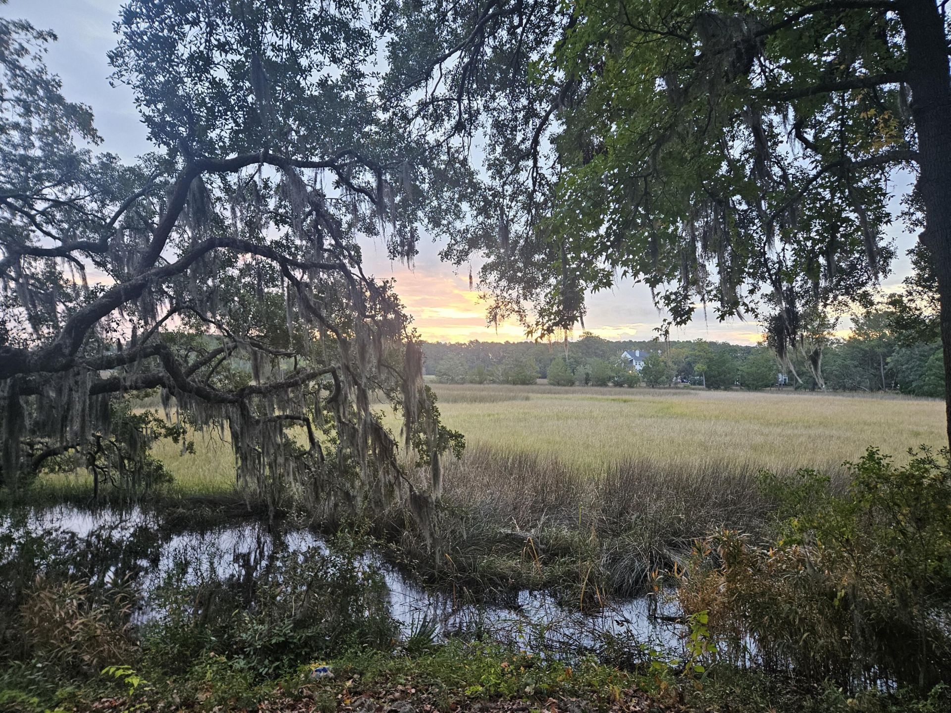 2340 Ashley River Road Photo 16