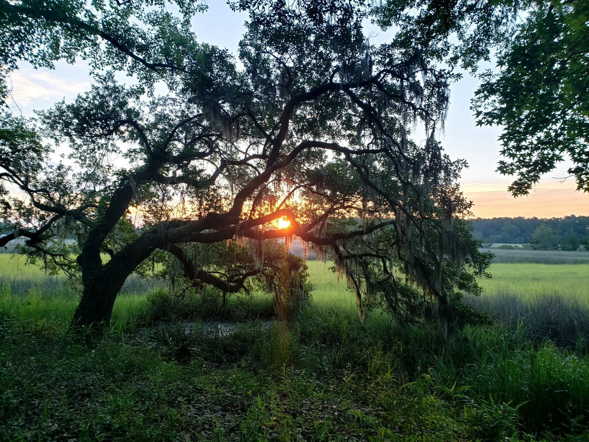 2340 Ashley River Road Photo 17