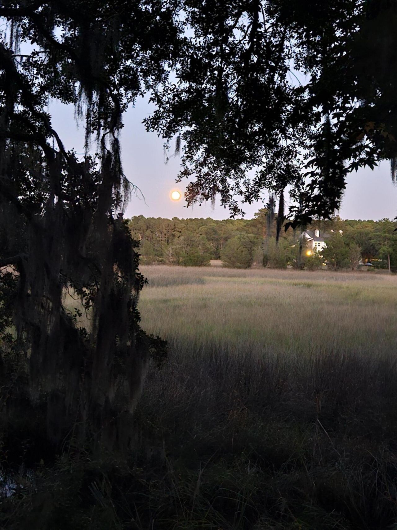 2340 Ashley River Road Photo 19
