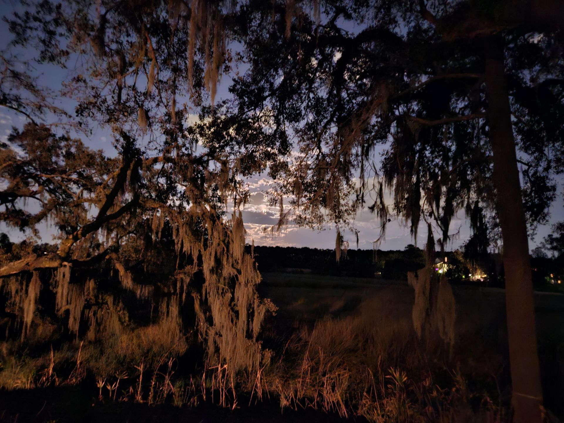 2340 Ashley River Road Photo 19